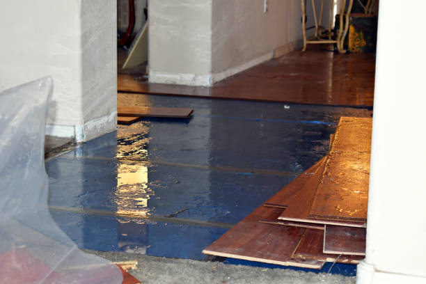 Professional Burst Pipe Cleanup technician working in Metuchen, NJ
